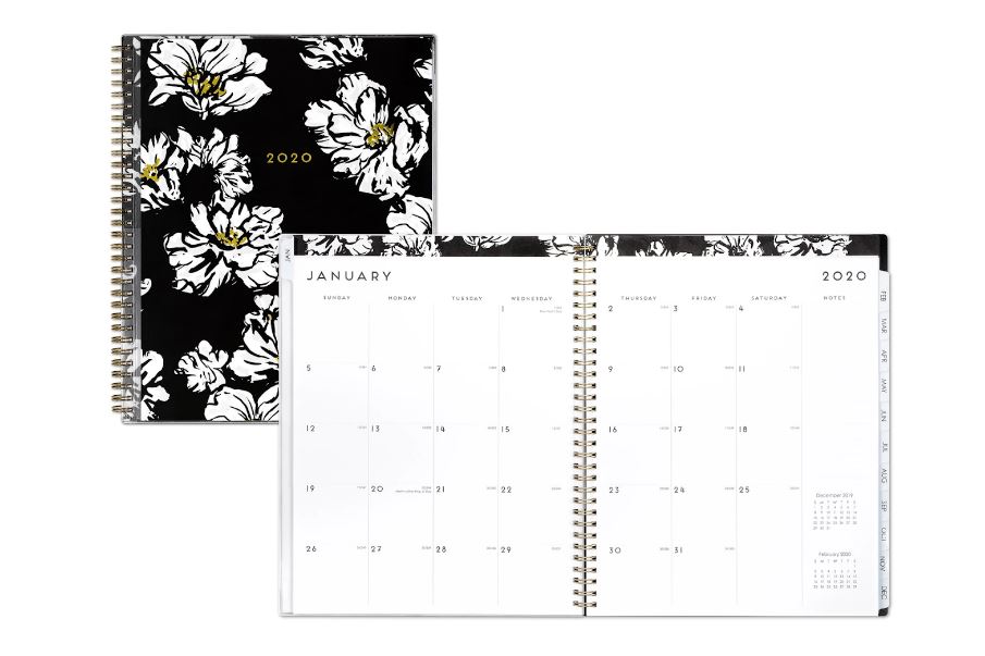 7 Budget-friendly Productivity Planners Under $30 (2020) 2 blueskypl