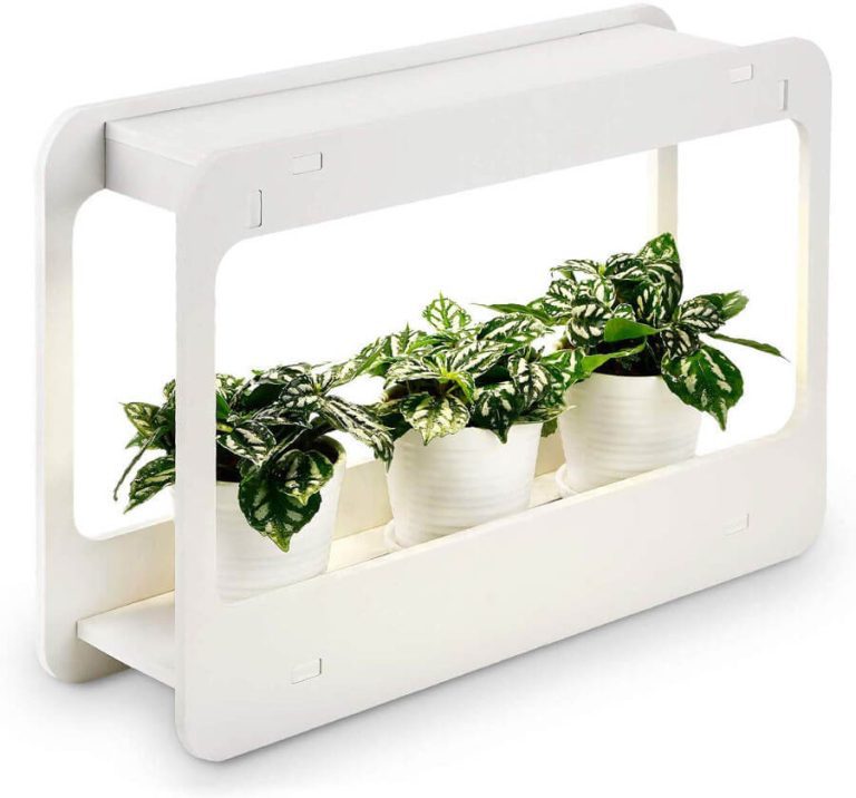 35 Genius and Actually Useful Office Supplies, Accessories, and Gadgets for Increased Productivity When Working From Home (2020) 25 Shelf for plants Luxafor