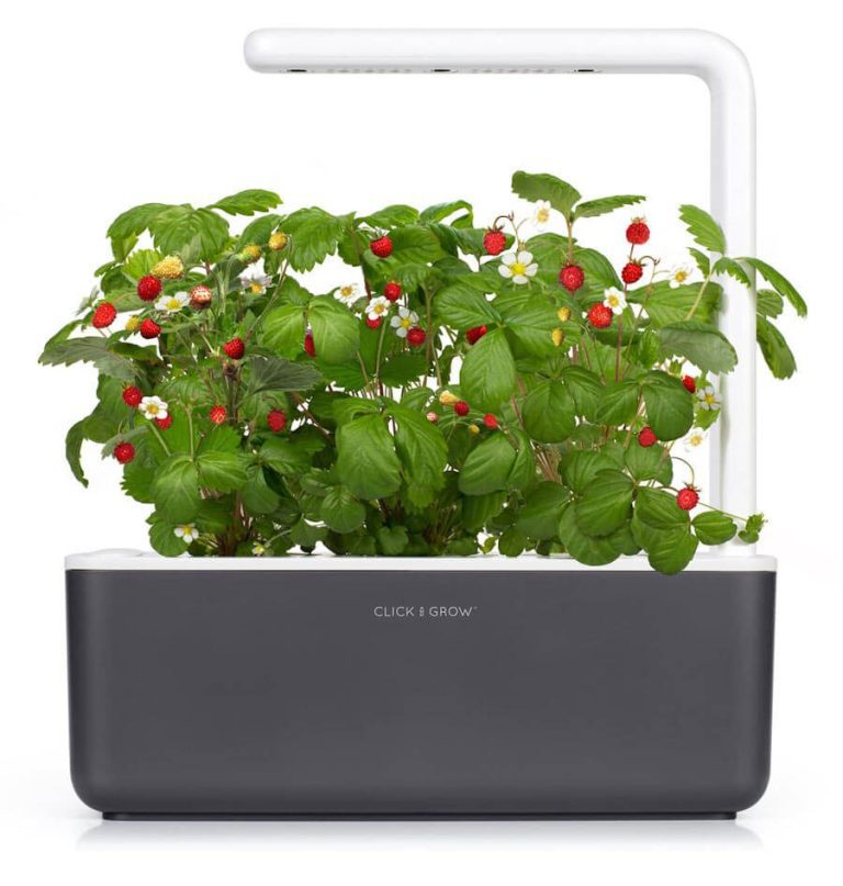 35 Genius and Actually Useful Office Supplies, Accessories, and Gadgets for Increased Productivity When Working From Home (2020) 29 Click and grow for plants Luxafor