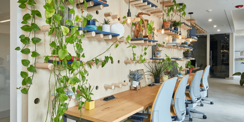 How to improve and maintain indoor air quality 4 Luxafor plants in office